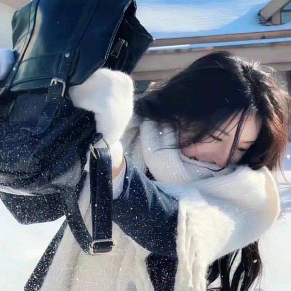 大盗吉普赛